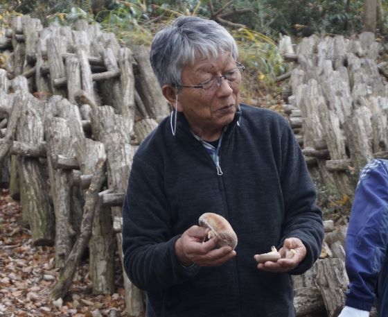 (中止）11月「原木シイタケの収穫体験」参加者募集中